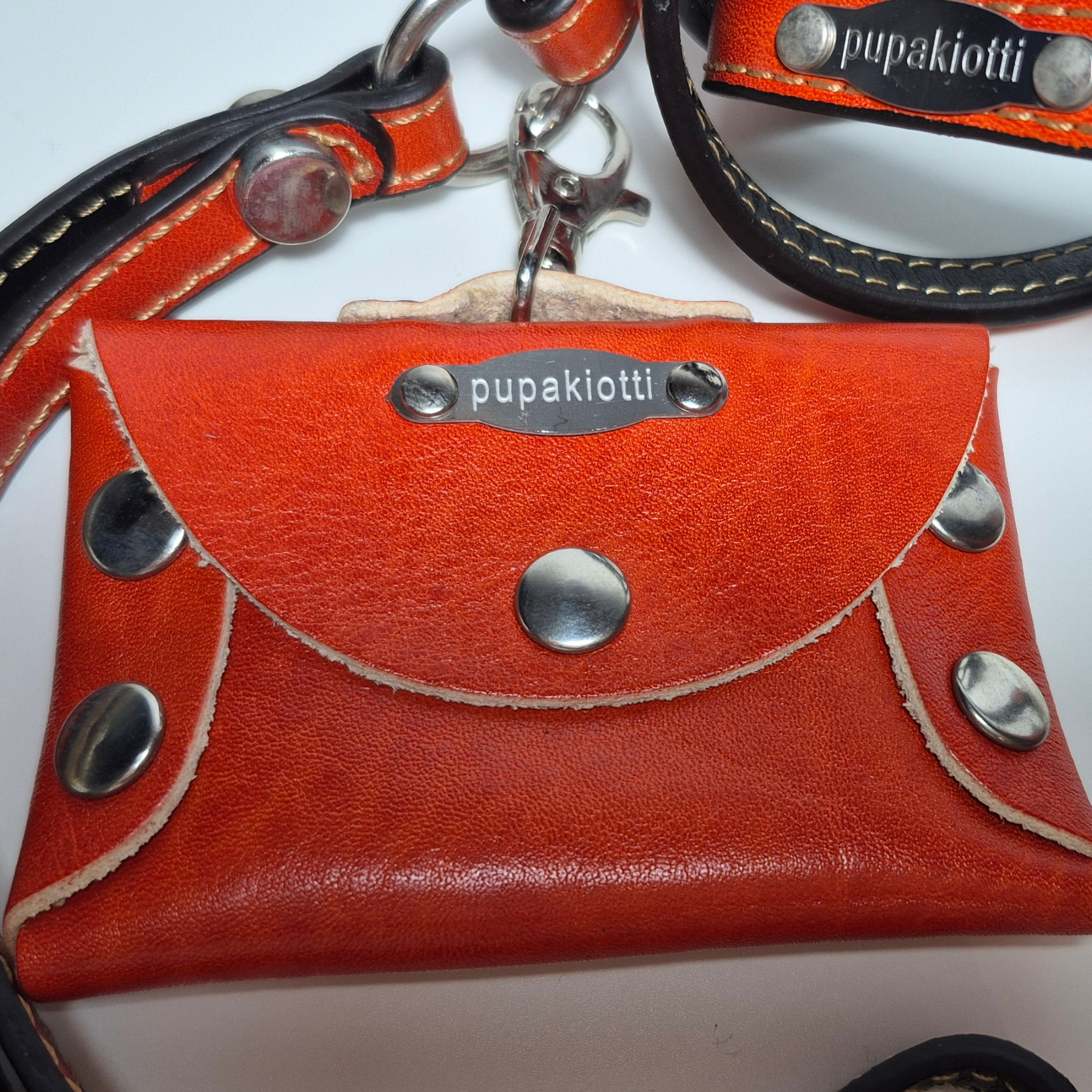 Set Pettorina e Guinzaglio in Pelle con Porta Sacchetti